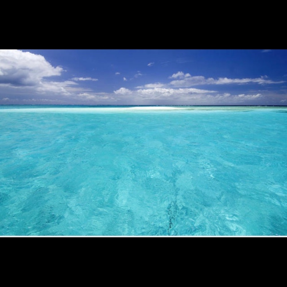 Meet your Posher, Oli